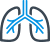 Pulmonology icon